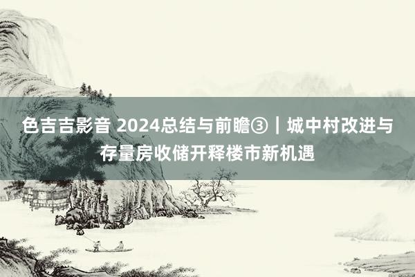 色吉吉影音 2024总结与前瞻③｜城中村改进与存量房收储开释楼市新机遇