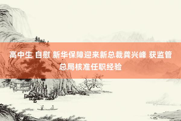 高中生 自慰 新华保障迎来新总裁龚兴峰 获监管总局核准任职经验