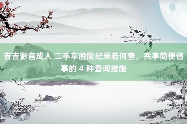 吉吉影音成人 二手车脱险纪录若何查，共享简便省事的 4 种查询措施