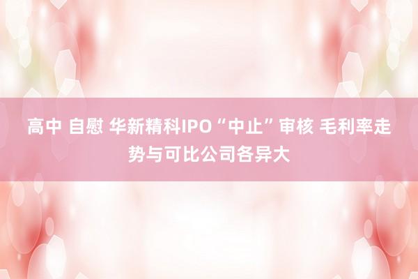 高中 自慰 华新精科IPO“中止”审核 毛利率走势与可比公司各异大