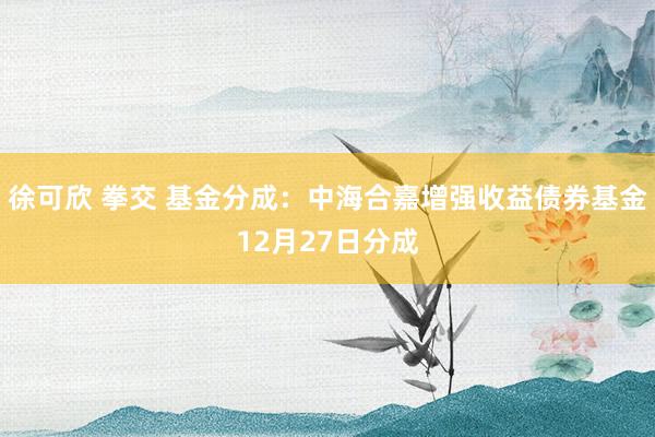 徐可欣 拳交 基金分成：中海合嘉增强收益债券基金12月27日分成