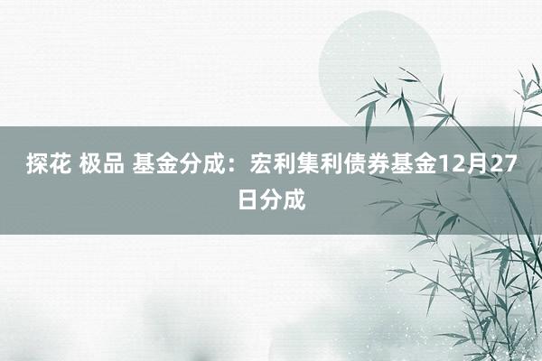 探花 极品 基金分成：宏利集利债券基金12月27日分成