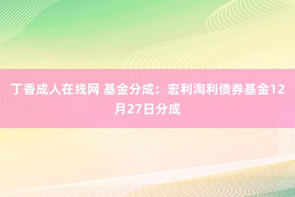 丁香成人在线网 基金分成：宏利淘利债券基金12月27日分成