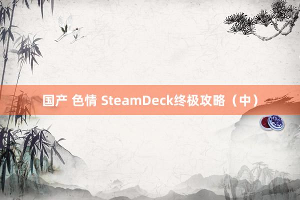 国产 色情 SteamDeck终极攻略（中）