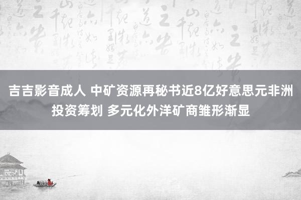 吉吉影音成人 中矿资源再秘书近8亿好意思元非洲投资筹划 多元化外洋矿商雏形渐显