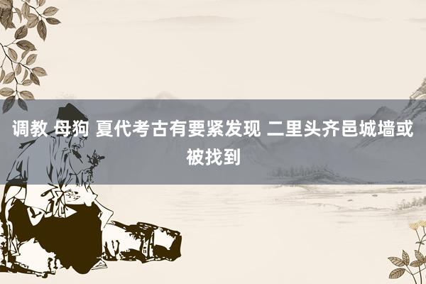 调教 母狗 夏代考古有要紧发现 二里头齐邑城墙或被找到