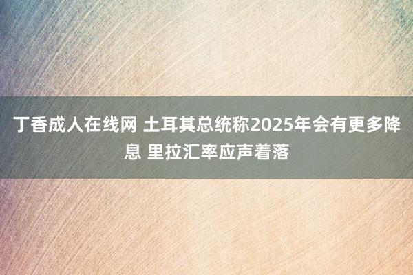 丁香成人在线网 土耳其总统称2025年会有更多降息 里拉汇率应声着落