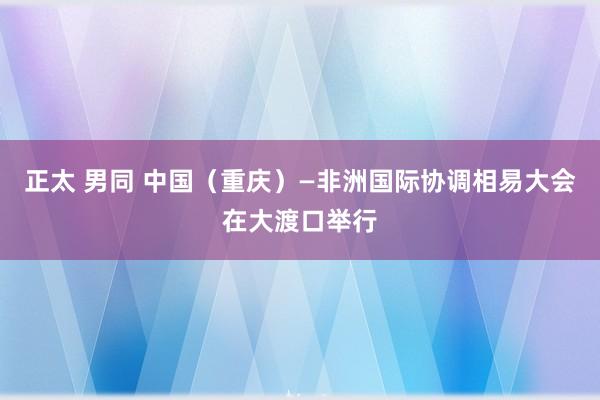 正太 男同 中国（重庆）—非洲国际协调相易大会在大渡口举行