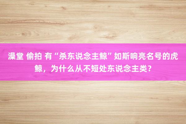 澡堂 偷拍 有“杀东说念主鲸”如斯响亮名号的虎鲸，为什么从不短处东说念主类？