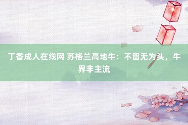 丁香成人在线网 苏格兰高地牛：不留无为头，牛界非主流