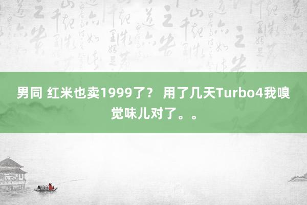 男同 红米也卖1999了？ 用了几天Turbo4我嗅觉味儿对了。。