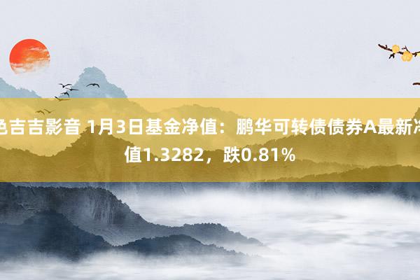 色吉吉影音 1月3日基金净值：鹏华可转债债券A最新净值1.3282，跌0.81%