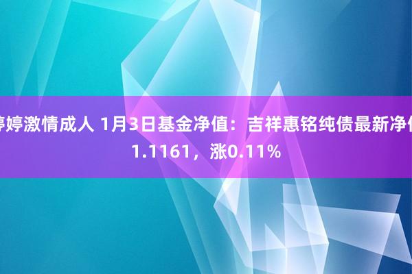 婷婷激情成人 1月3日基金净值：吉祥惠铭纯债最新净值1.1161，涨0.11%