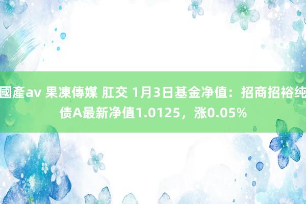 國產av 果凍傳媒 肛交 1月3日基金净值：招商招裕纯债A最新净值1.0125，涨0.05%