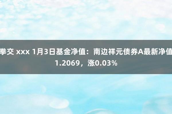 拳交 xxx 1月3日基金净值：南边祥元债券A最新净值1.2069，涨0.03%