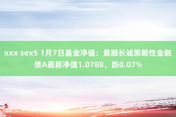 xxx sex5 1月7日基金净值：景顺长城策略性金融债A最新净值1.0788，跌0.07%