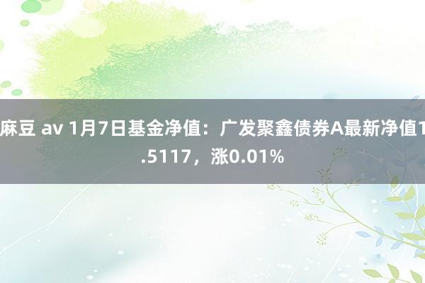 麻豆 av 1月7日基金净值：广发聚鑫债券A最新净值1.5117，涨0.01%