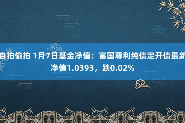 自拍偷拍 1月7日基金净值：富国尊利纯债定开债最新净值1.0393，跌0.02%