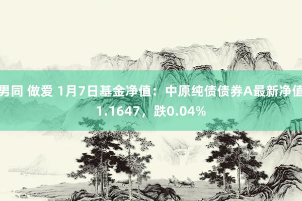 男同 做爱 1月7日基金净值：中原纯债债券A最新净值1.1647，跌0.04%