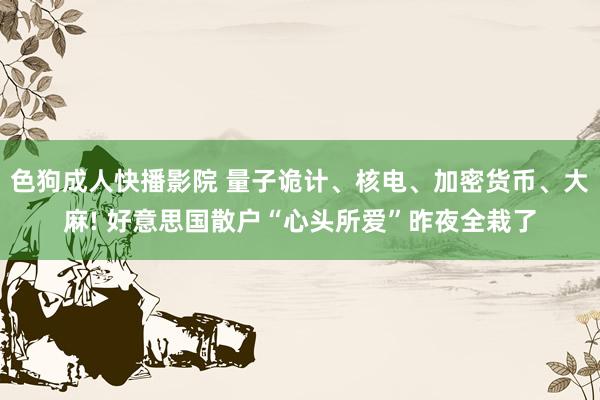 色狗成人快播影院 量子诡计、核电、加密货币、大麻! 好意思国散户“心头所爱”昨夜全栽了