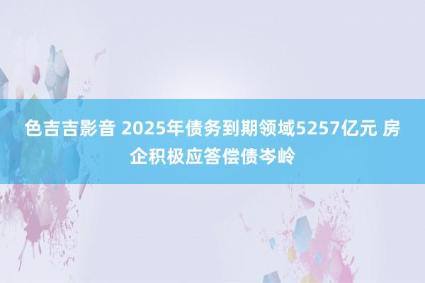 色吉吉影音 2025年债务到期领域5257亿元 房企积极应答偿债岑岭