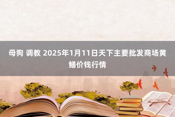 母狗 调教 2025年1月11日天下主要批发商场黄鳝价钱行情