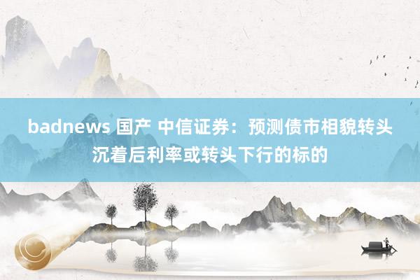 badnews 国产 中信证券：预测债市相貌转头沉着后利率或转头下行的标的