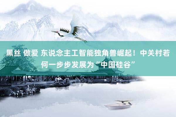 黑丝 做爱 东说念主工智能独角兽崛起！中关村若何一步步发展为“中国硅谷”