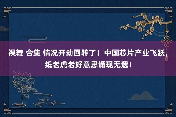 裸舞 合集 情况开动回转了！中国芯片产业飞跃，纸老虎老好意思涌现无遗！