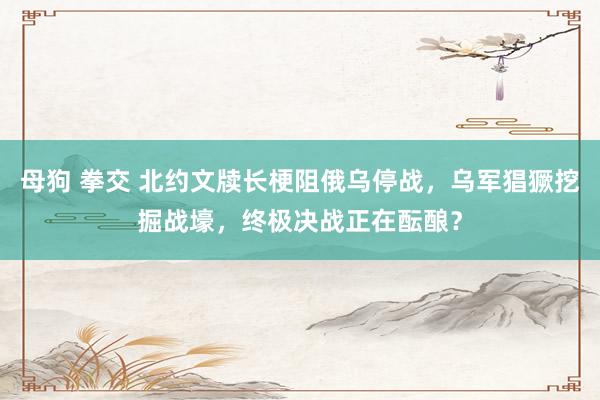 母狗 拳交 北约文牍长梗阻俄乌停战，乌军猖獗挖掘战壕，终极决战正在酝酿？