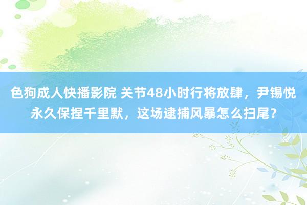 色狗成人快播影院 关节48小时行将放肆，尹锡悦永久保捏千里默，这场逮捕风暴怎么扫尾？